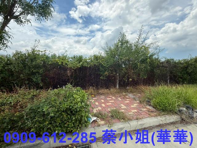 台南麻豆工業地-0