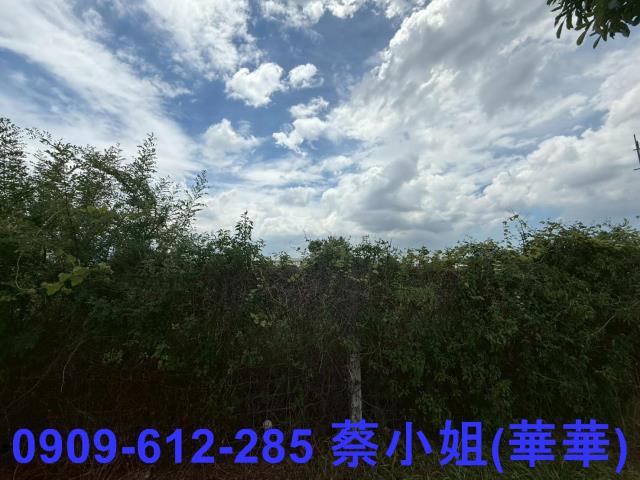 台南麻豆工業地-1