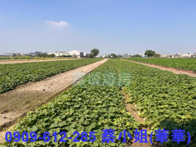 大寮農地-1
