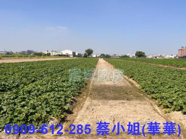 大寮農地-0